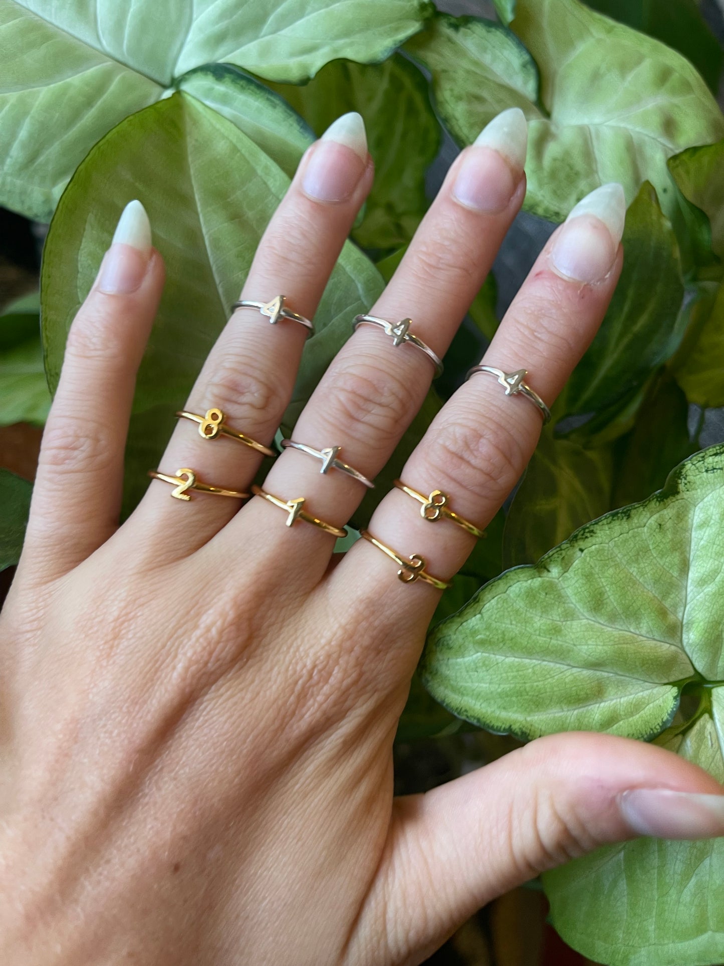 Life Path Numerology Ring